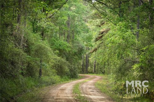 00 County Rd, Kennard, TX, 75847 | Card Image