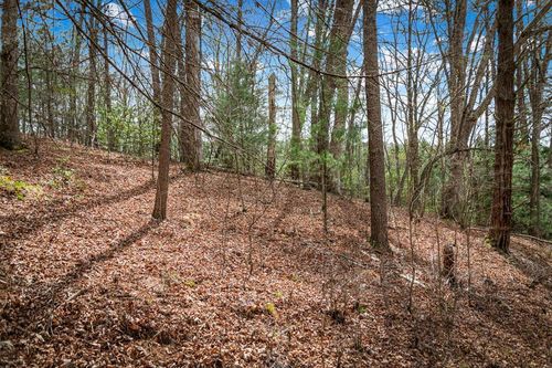 Lot 1 Wolf Creek Est, Mineral Bluff, GA, 30559-7642 | Card Image