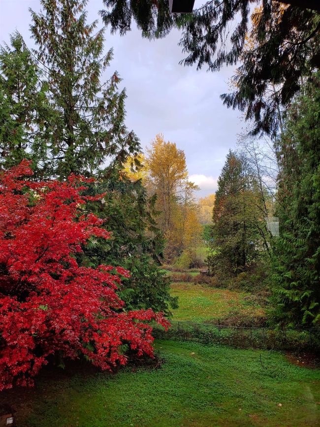 View of yard | Image 24