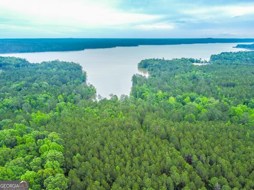 1078 Chennault Dr, Tignall, GA, 30668-2644 | Card Image