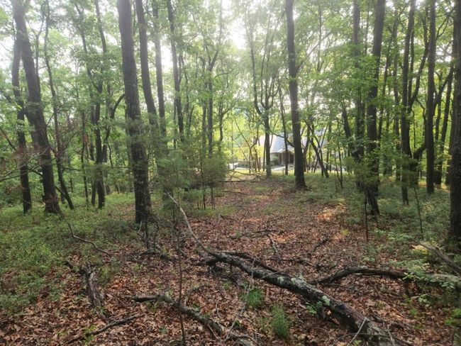161 Sharp Mountain Pkwy, Home with 0 bedrooms, 0 bathrooms and null parking in Jasper GA | Image 9