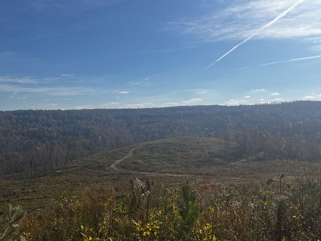 0 Northcutts Cove Rd, Home with 0 bedrooms, 0 bathrooms and null parking in Beersheba Springs TN | Image 5