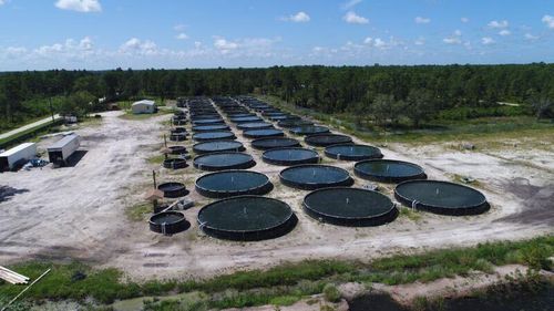 330 N Verda St, Clewiston, FL, 33440-7932 | Card Image