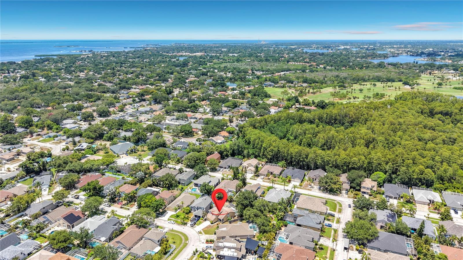 Residential in TARPON SPRINGS 2