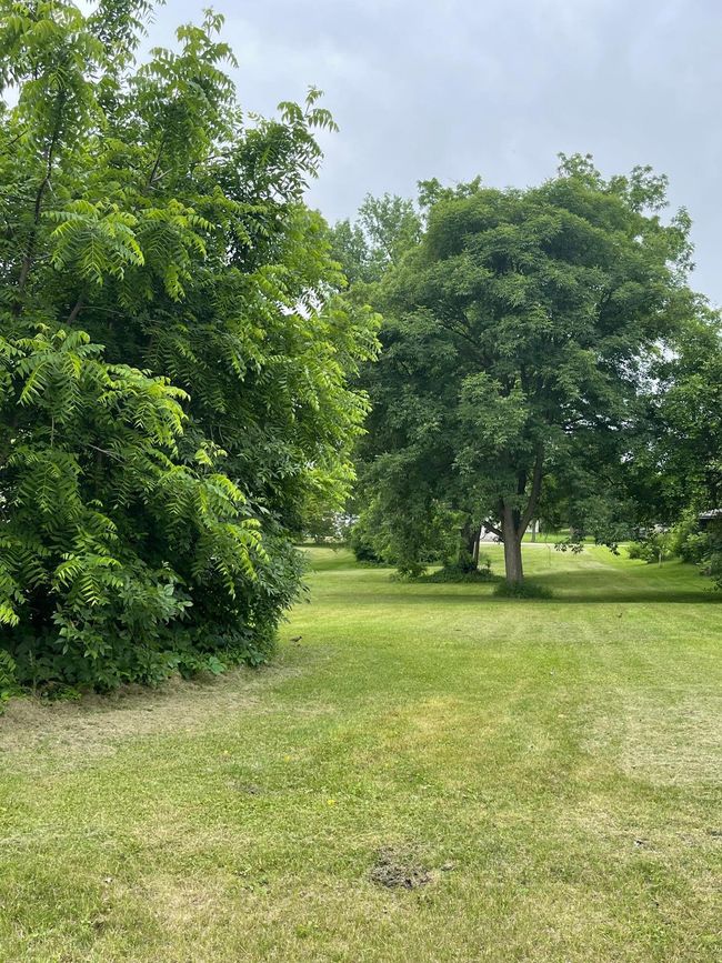 Lake St View | Image 7