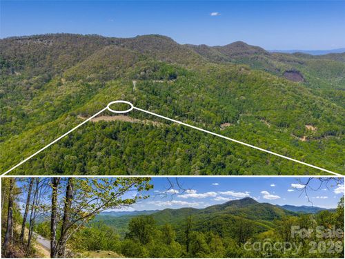 18-0000 Lovebird Ln, Candler, NC, 28715 | Card Image