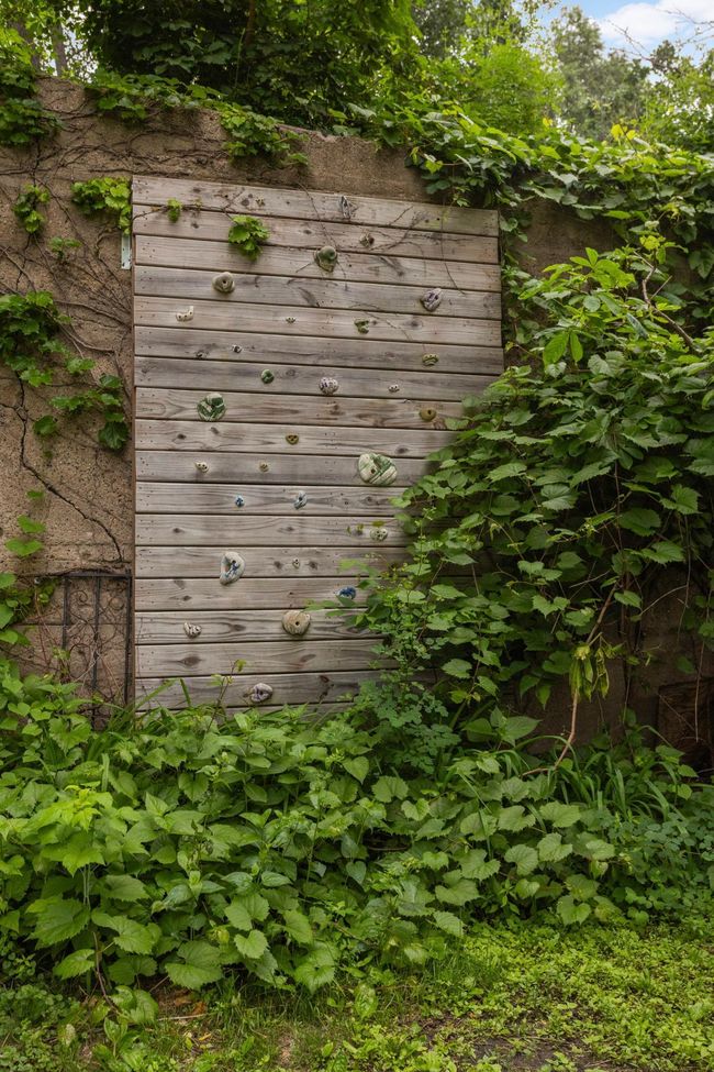 Cool climbing wall! | Image 25