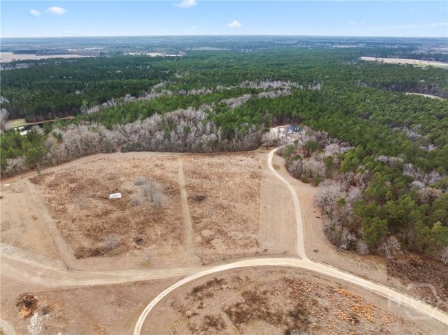 0 Banks Dairy Rd, Home with 0 bedrooms, 0 bathrooms and null parking in Portal GA | Image 5