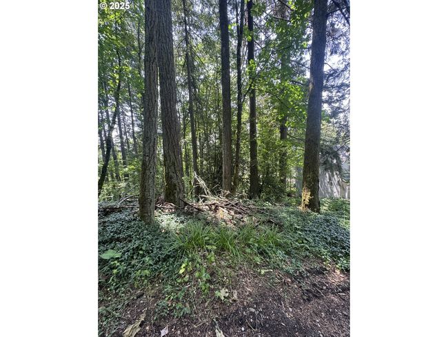 1278 Sw 27 Th Ct, Home with 0 bedrooms, 0 bathrooms and null parking in Gresham OR | Image 5