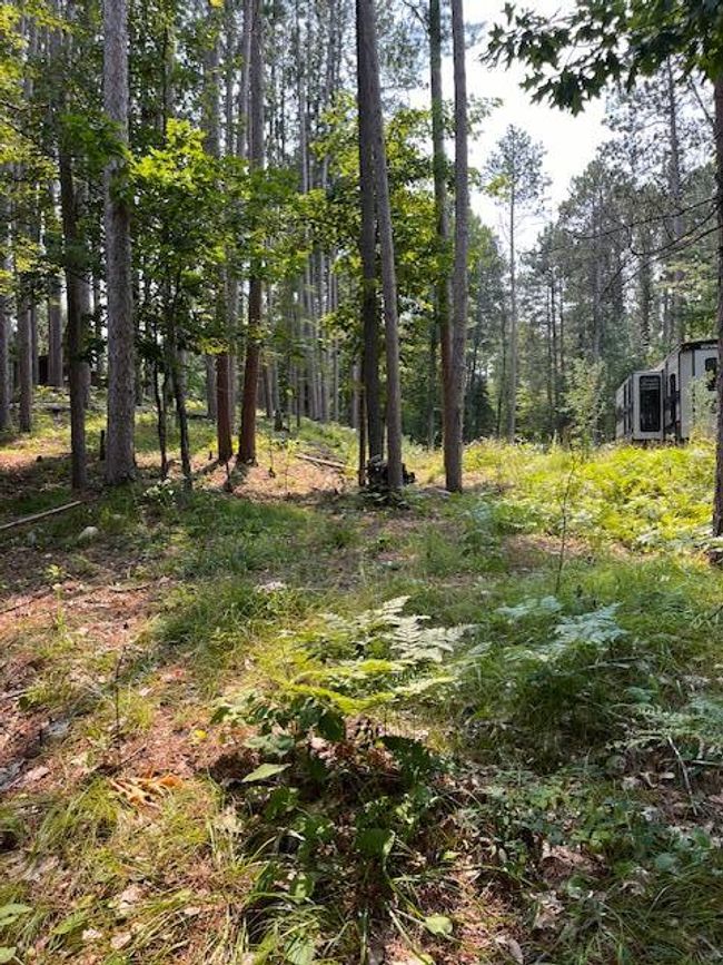 5878 S Thunder Lake Dr Ne, Home with 0 bedrooms, 0 bathrooms and null parking in Remer MN | Image 41