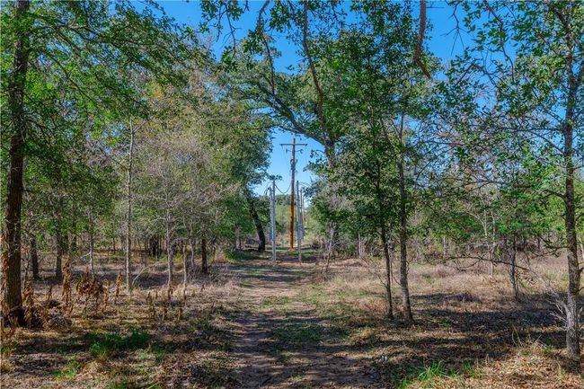 3597 Baker Rd, Home with 0 bedrooms, 0 bathrooms and null parking in Kingsbury TX | Image 16