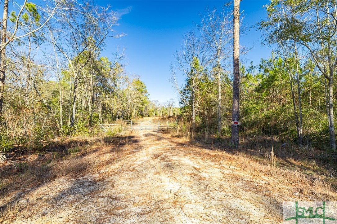 Land in Guyton