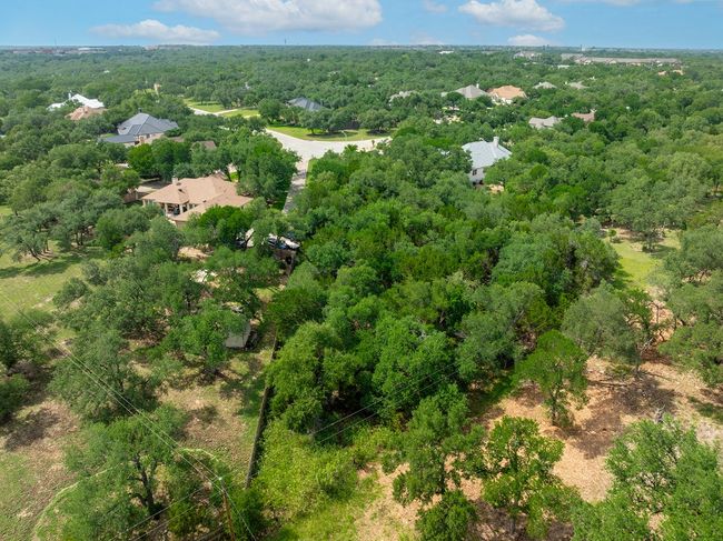 Bird's eye view of a forest | Image 4