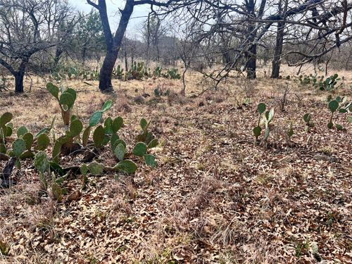 Lot 64 Janda Ln, Brownwood, TX, 76801 | Card Image