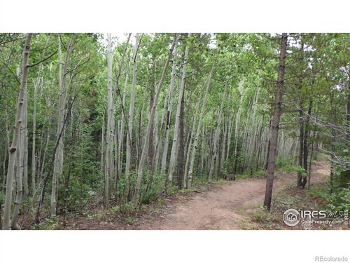 60 Comanito Ct, Red Feather Lakes, CO, 80545 | Card Image
