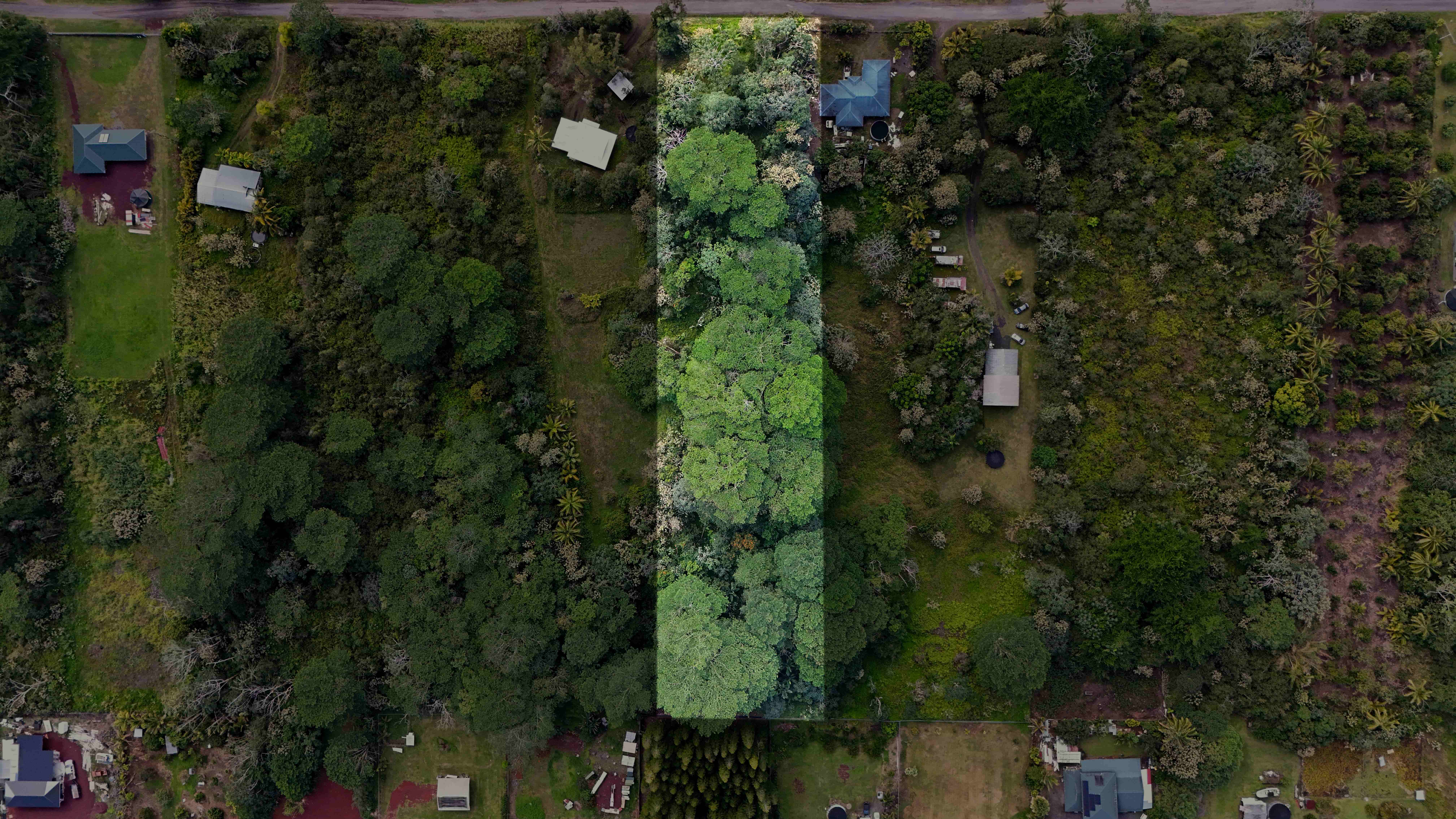 Land in Kurtistown 5