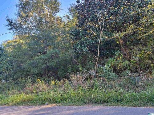 024002-312 Pine St Sw, Bessemer, AL, 35022-4775 | Card Image