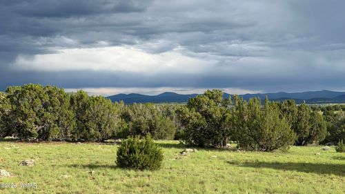 78 8006, Concho, AZ, 85924 | Card Image