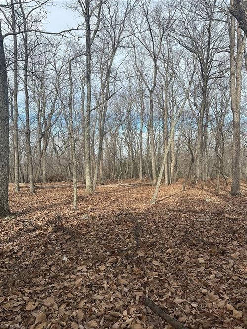 1527 Sierra Trace Rd, Denton, NC, 27239-7264 | Card Image