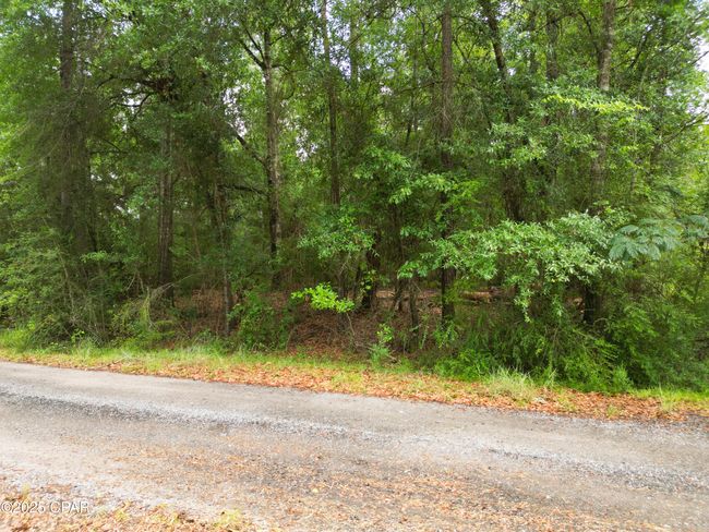 000 Fairway Dr, Home with 0 bedrooms, 0 bathrooms and null parking in Bonifay FL | Image 11