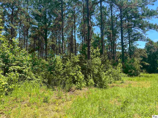000 Highway 146, Home with 0 bedrooms, 0 bathrooms and null parking in Ruston LA | Image 5