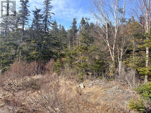 0 Random Island Road, Weybridge, NL, A5A3A1 | Card Image