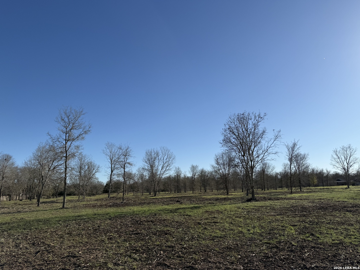 Land in Seguin 4