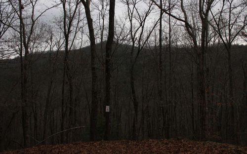 6 Thunder Rd, Hayesville, NC, 28904 | Card Image