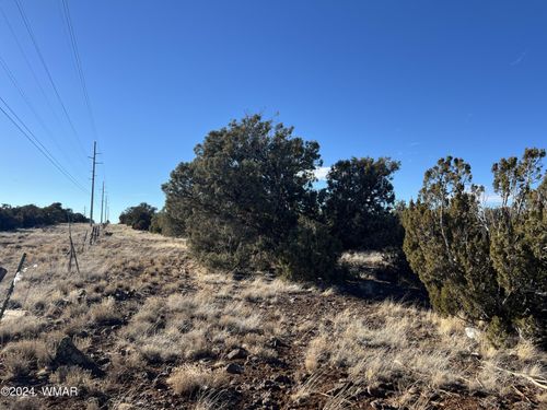2036 Sitgreaves Ranch Rd, Show Low, AZ, 85901 | Card Image