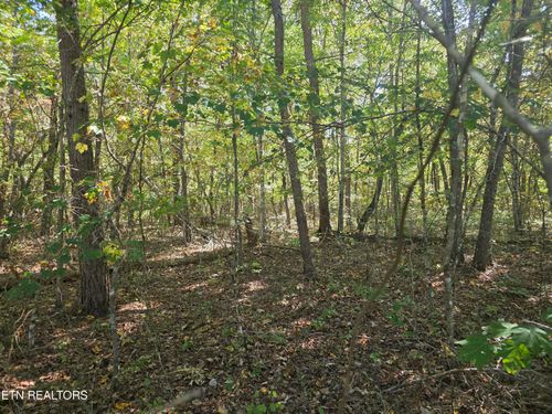 L7 Cumberland Lakes Dr, Monterey, TN, 38574 | Card Image