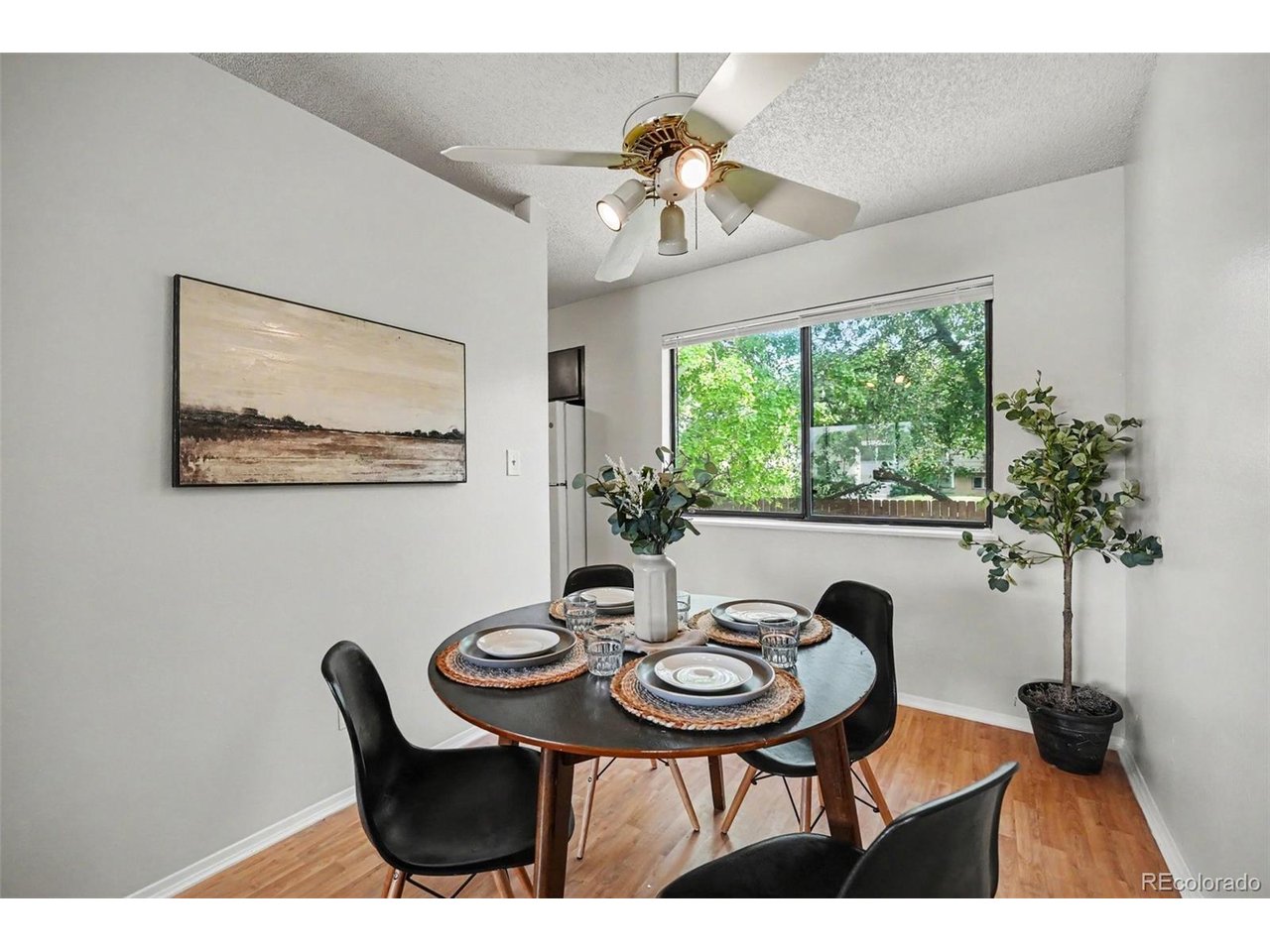 Residential in Fort Collins 5