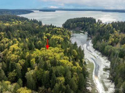 Tall Fir trees, Cedar and an abundance of Maples plus wonderful ground cover are ready for your dream home! | Image 2