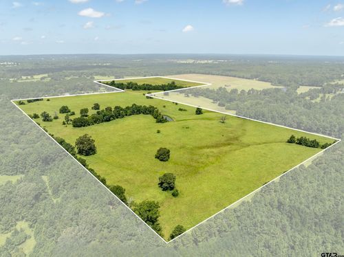 1044 An County Road 379, Palestine, TX, 75801-1804 | Card Image