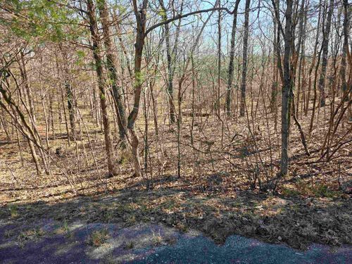 L16 B8 Lochloosa Drive, Cherokee Village, AR, 72529 | Card Image