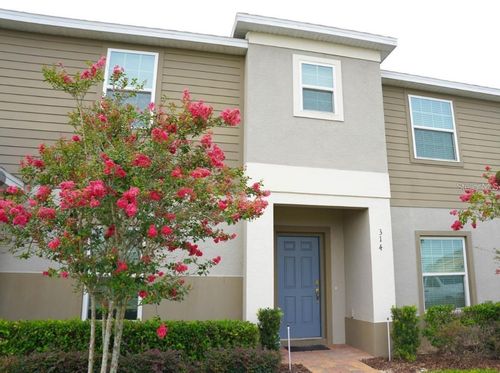 314 Annabelle Way, DAVENPORT, FL, 33837-3203 | Card Image