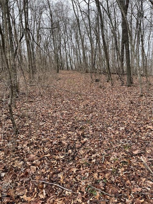 00 Highway 32, Bixby, MO, 65439 | Card Image