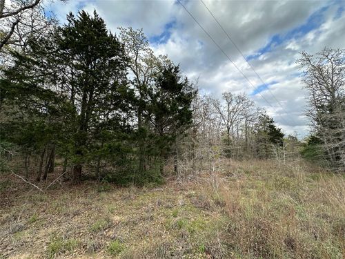 547 S Old Potato Rd, Paige, TX, 78659-4236 | Card Image