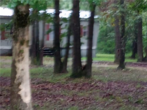 3455 Madison 8270, Huntsville, AR, 72740-8124 | Card Image