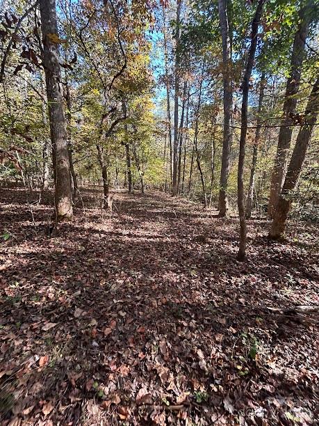 Land in Rutherfordton 3