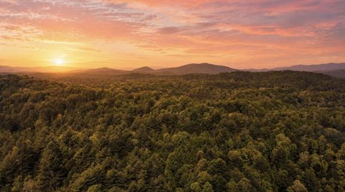 40 AC #2 Valley Lake Road, mineral bluff, GA, 30559 | Card Image