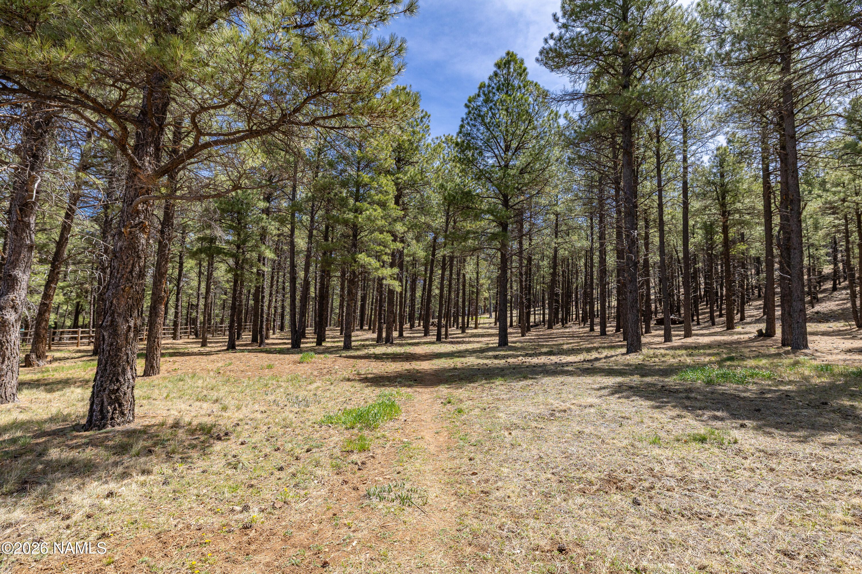 Residential in Flagstaff 5