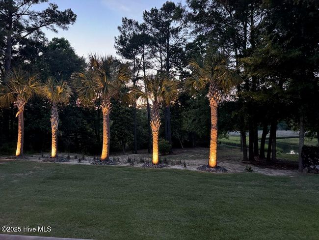 708 Cordgrass Rd, House other with 4 bedrooms, 4 bathrooms and 3 parking in Hampstead NC | Image 86