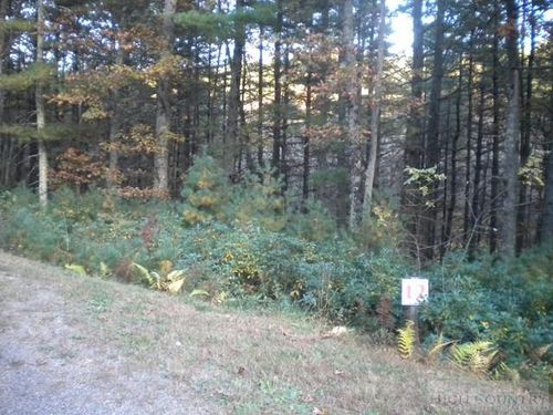 Lot 12 Pine Chase, Glade Valley, NC, 28627 | Card Image