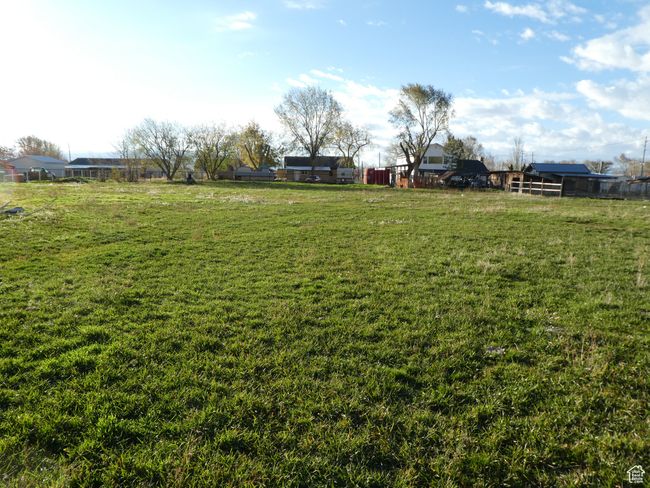 View of yard | Image 21