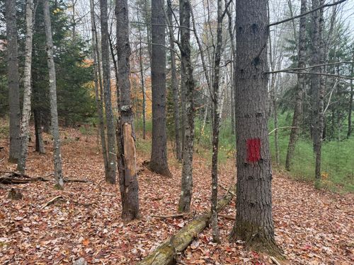 55 Storer Hill Road, Carthage, ME, 04224 | Card Image