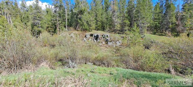 1670 Shadow Loop S, Home with 0 bedrooms, 0 bathrooms and null parking in Ashton ID | Image 4
