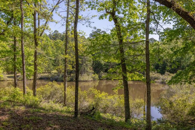 Property view of water featuring a view of trees | Image 33