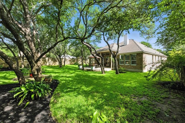 New landscaping | Image 31