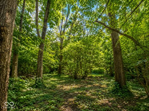 5135 Annette St, Indianapolis, IN, 46208-2470 | Card Image