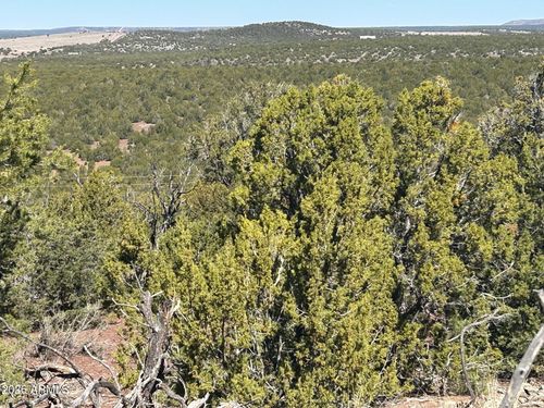 80-lot 80 Ranch Road, Vernon, AZ, 85940 | Card Image